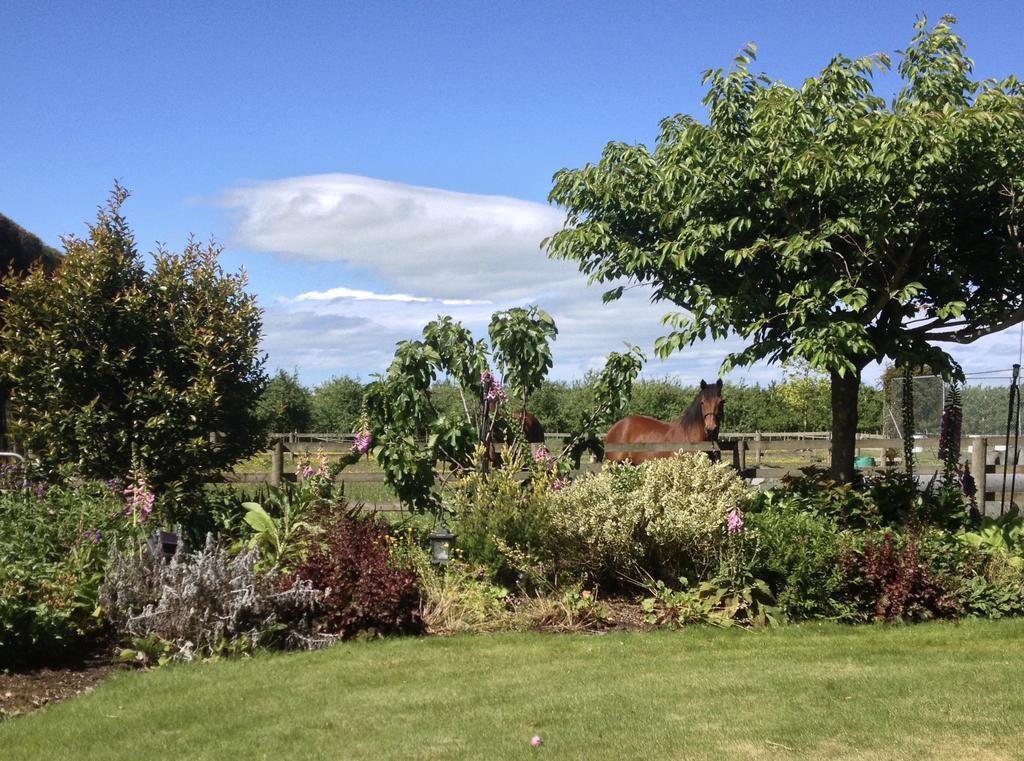 Dewdrop Cottage Hastings Bagian luar foto